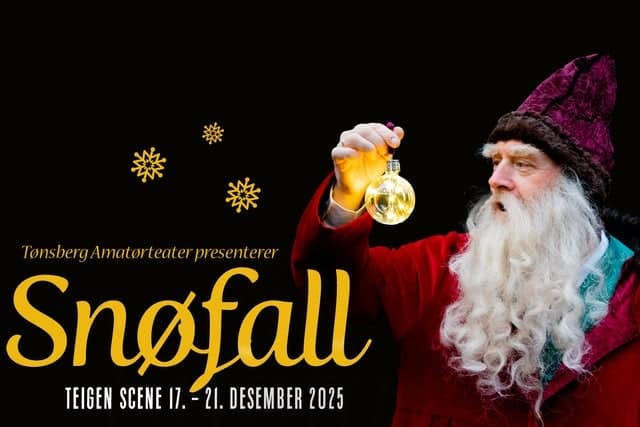 Snøfall - Teigen Scene